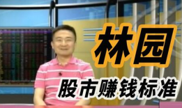 林园最新视频,揭秘投资智慧与市场洞察